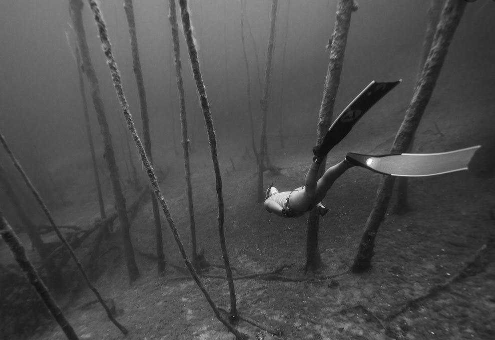 Zwart witte foto van Diederik die tussen bomen door aan het duiken is.